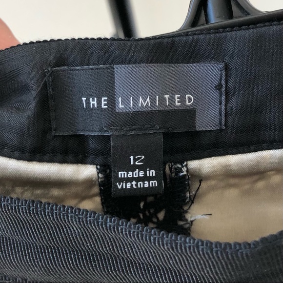 The Limited Lace Skirt - Picture 5 of 7